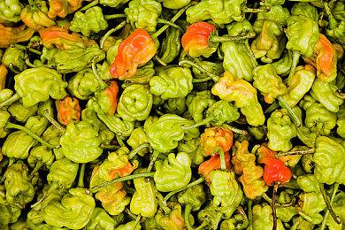 音乐 炫酷的画面 俄罗斯方块 经典益智游戏《Lumines》新作秋季发售